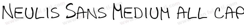 Neulis Sans Medium all caps字体转换